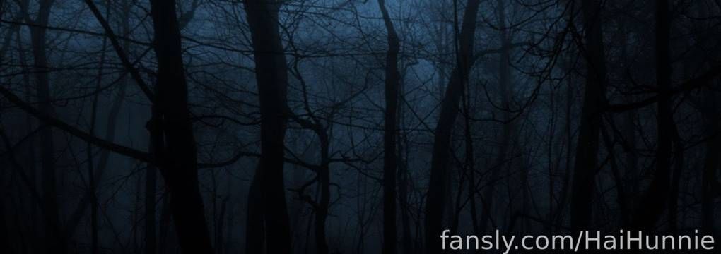 fansly HaiHunnie profile banner  