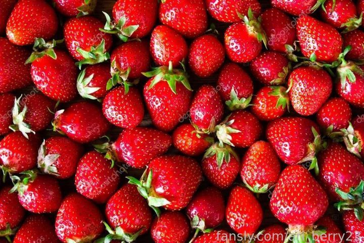 fansly Ari Berry🍓 profile banner  