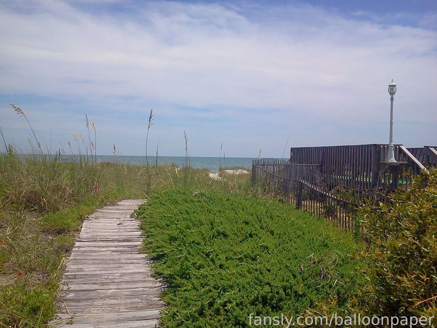fansly balloonpaper profile banner  