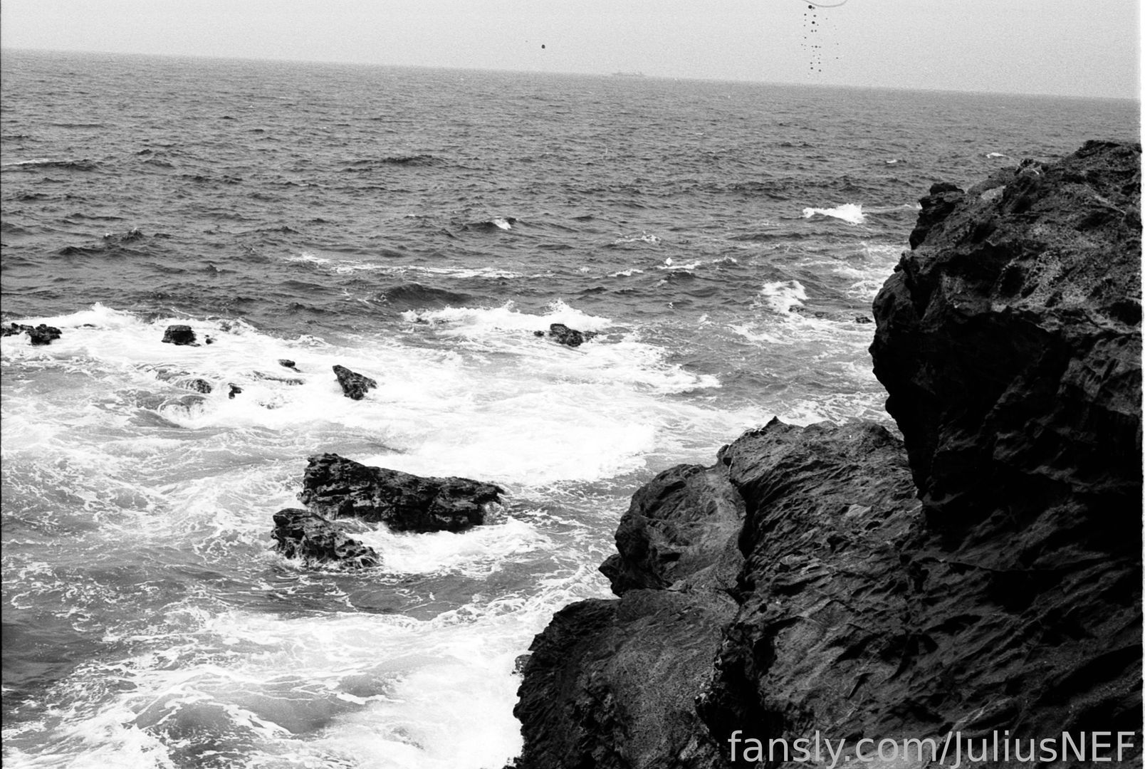 fansly Bear-N-Honey profile banner