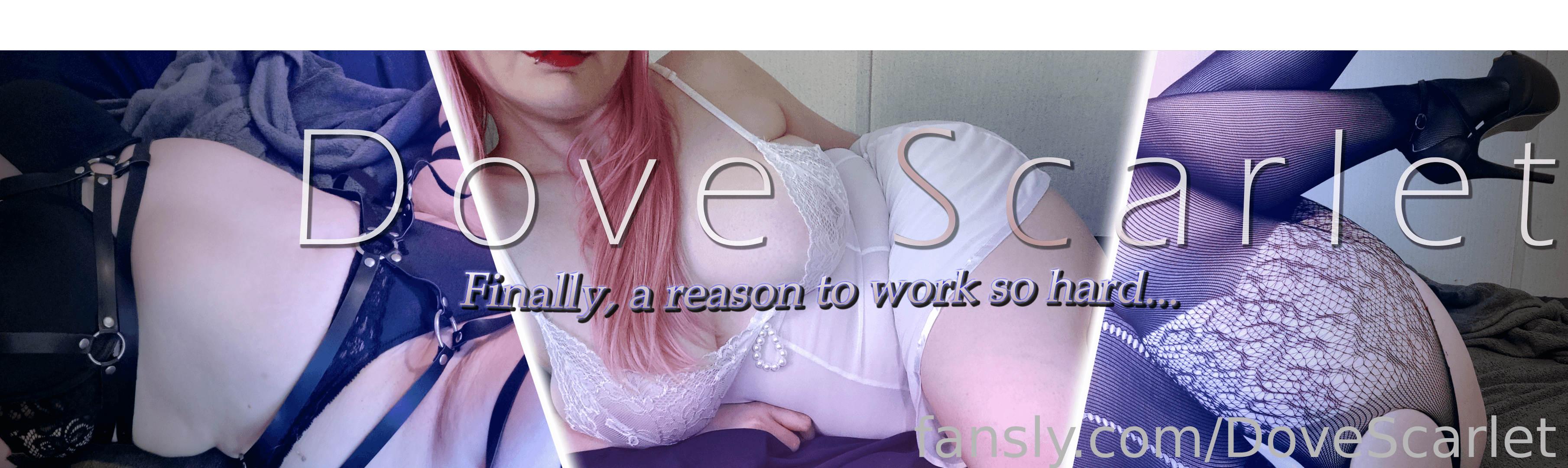 fansly Dove Scarlet profile banner  