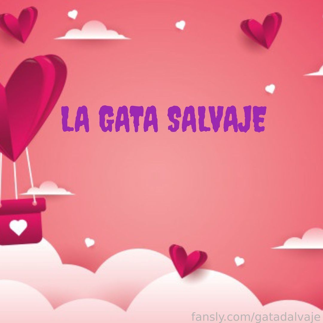 fansly Gata salvaje profile banner  