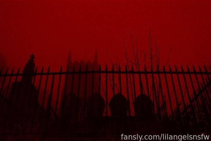 fansly bean  profile banner  
