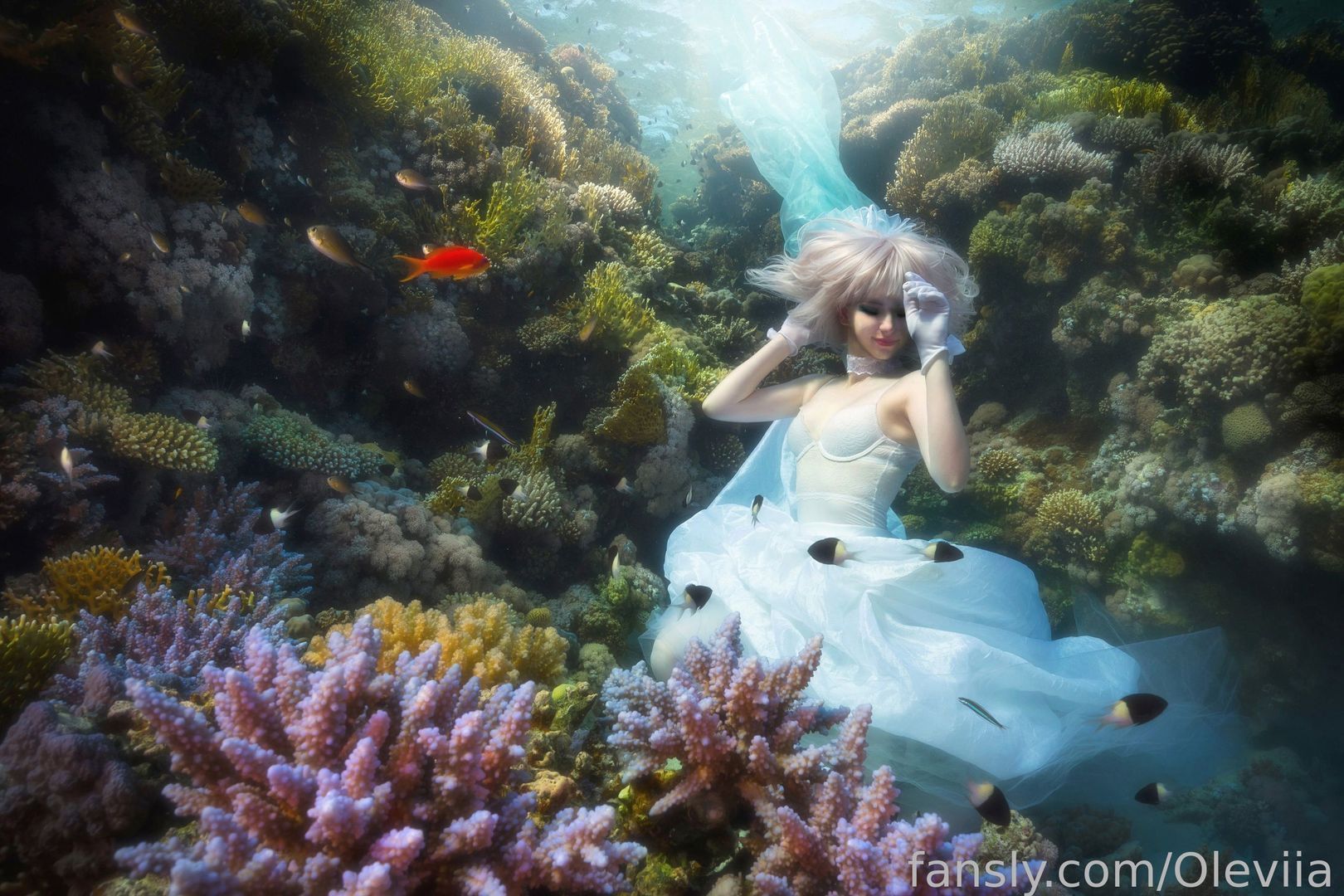 fansly Oleviia profile banner