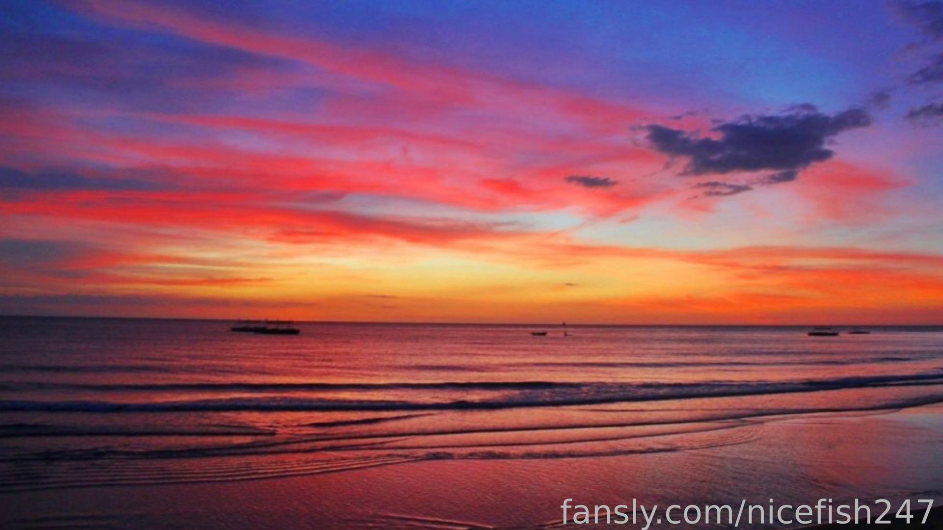 fansly nicefish247 profile banner