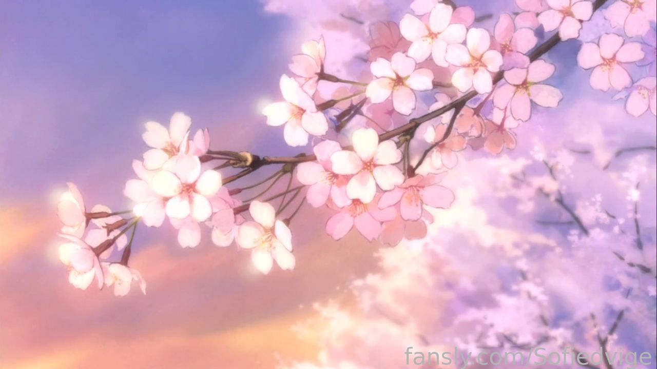 fansly Sofiedvige  profile banner  