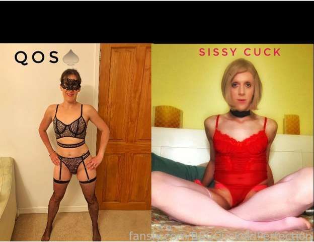 fansly BBCCuckoldPerfection profile banner  