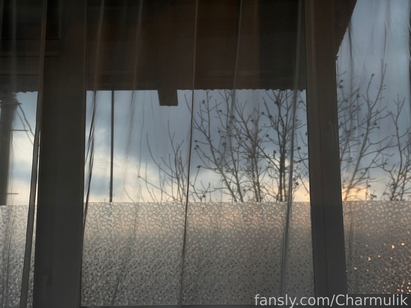 fansly Charm profile banner