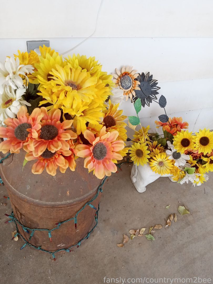 fansly countrymom2bee profile banner  