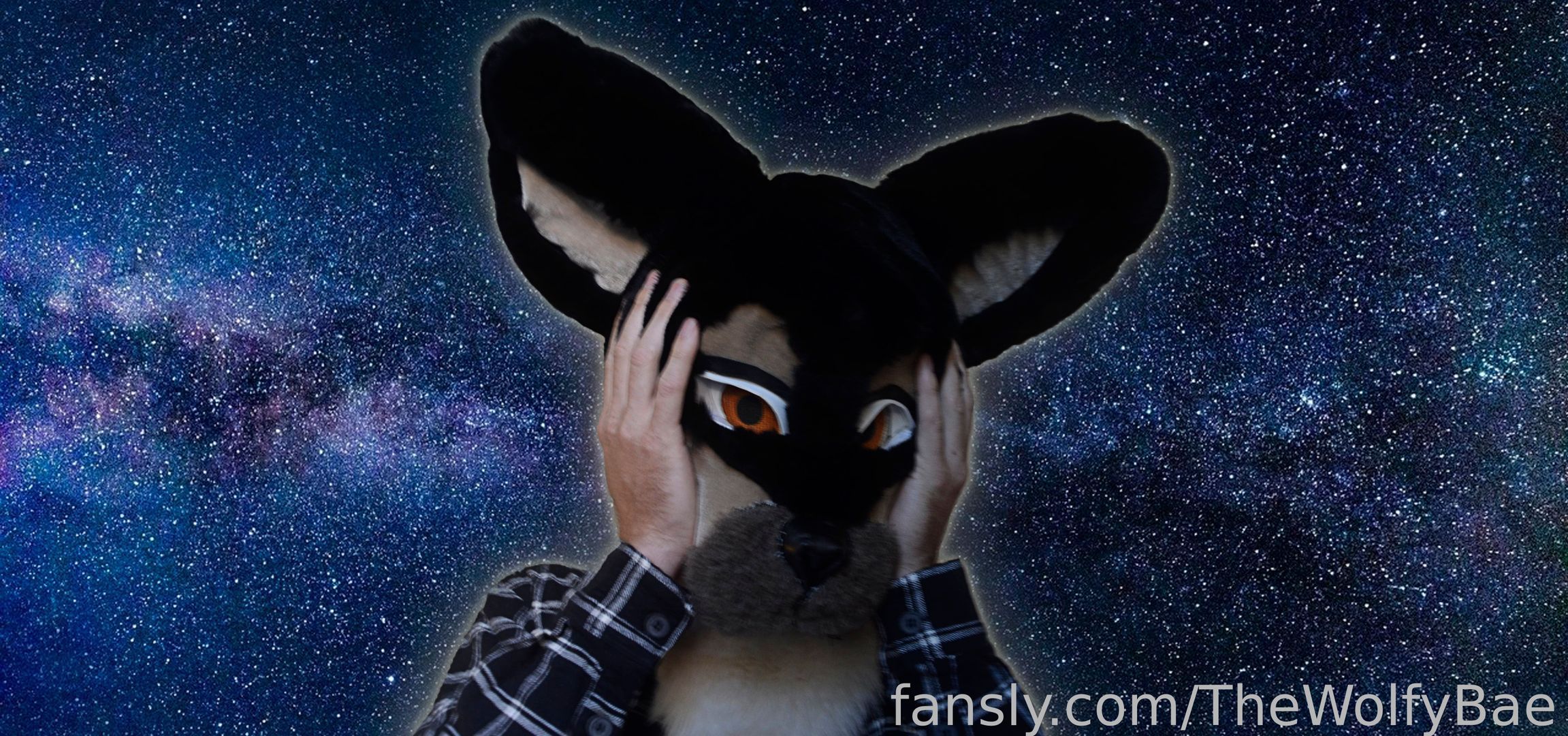 fansly The Wolfy Bae profile banner  