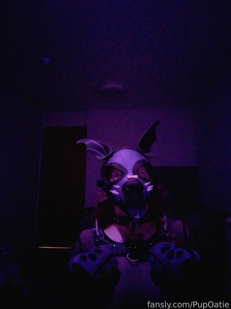 fansly Pup Oatie profile banner  