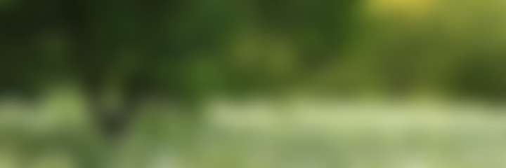 fansly Blossom profile banner