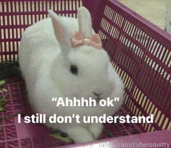 fansly yuuuuuuun profile banner  