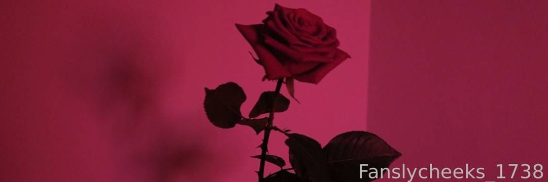 fansly cheeks_1738 profile banner