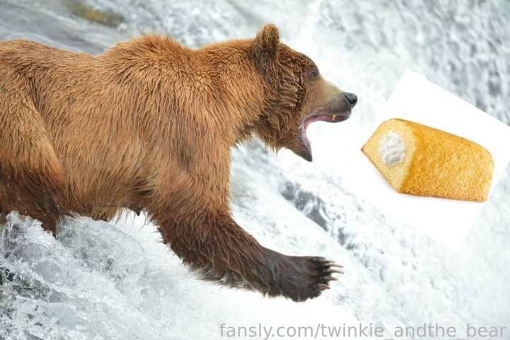 fansly twinkie_andthe_bear profile banner  