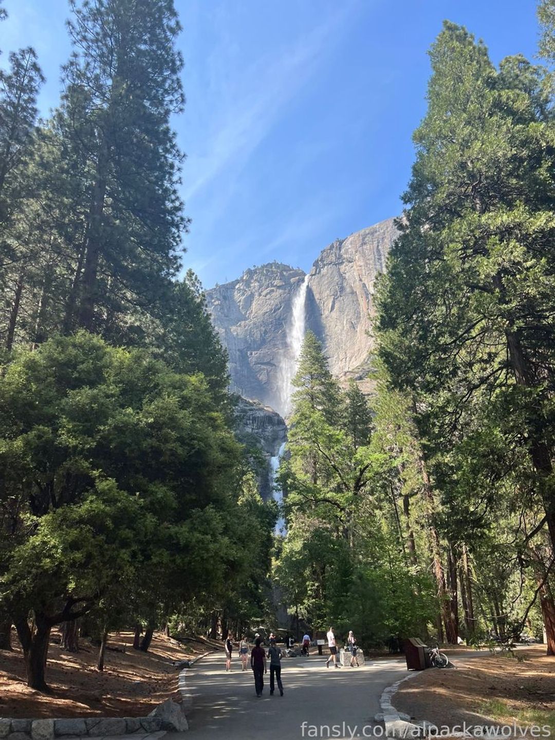 fansly TheyluvAlpacka profile banner