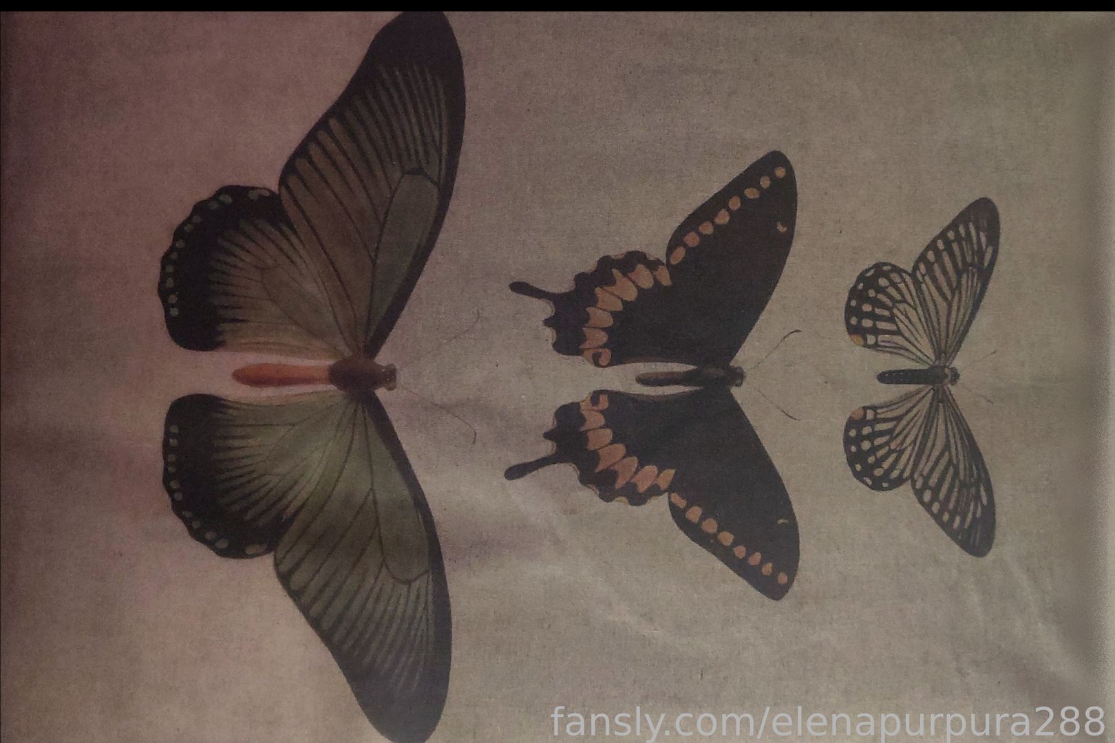 fansly Elena Pรบrpura ๐ฅ profile banner