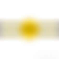 fansly Brookie B 🐝 profile banner  