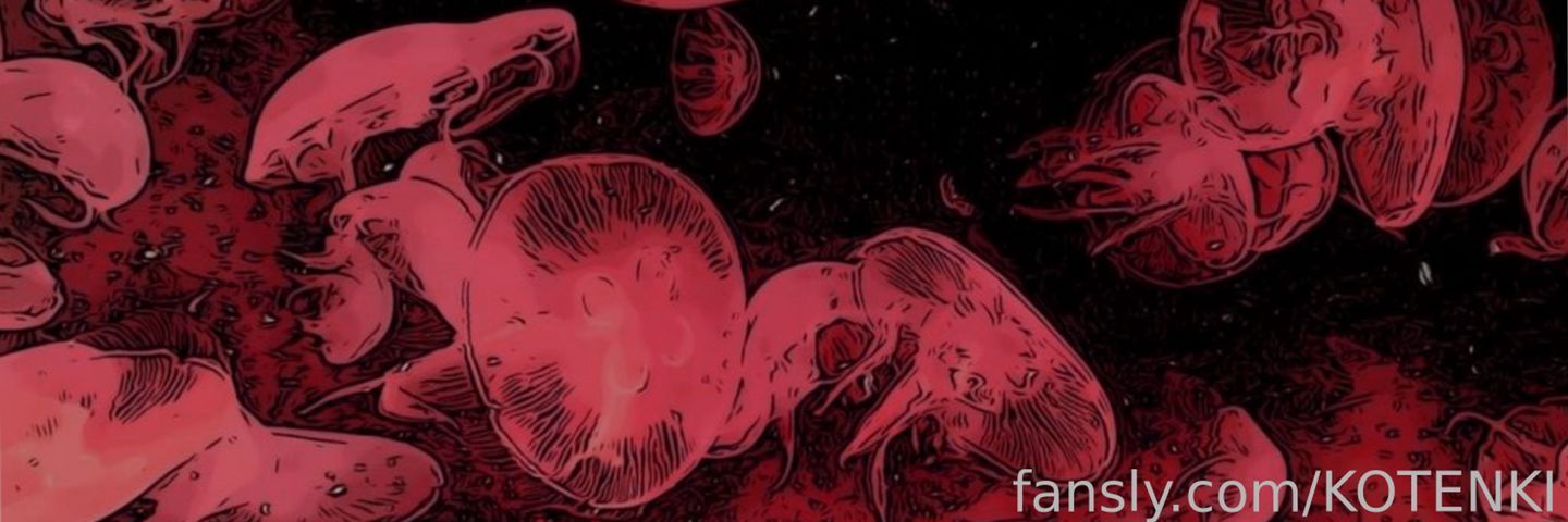 fansly KOTENKI profile banner