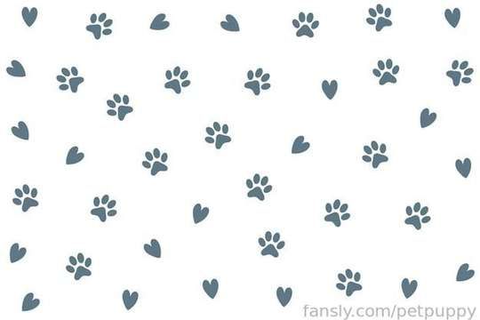 fansly virtual pet gf πΎβ‘ profile banner