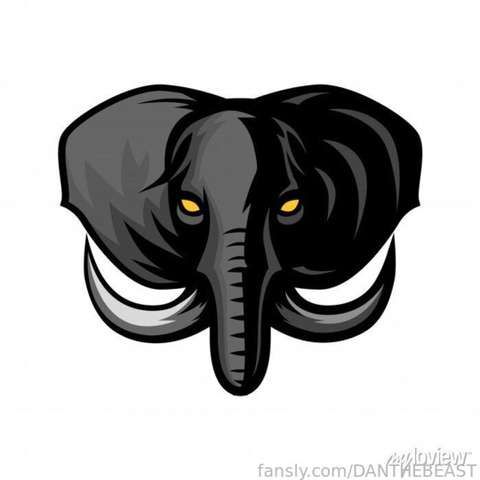 fansly DANTHEBEAST profile banner