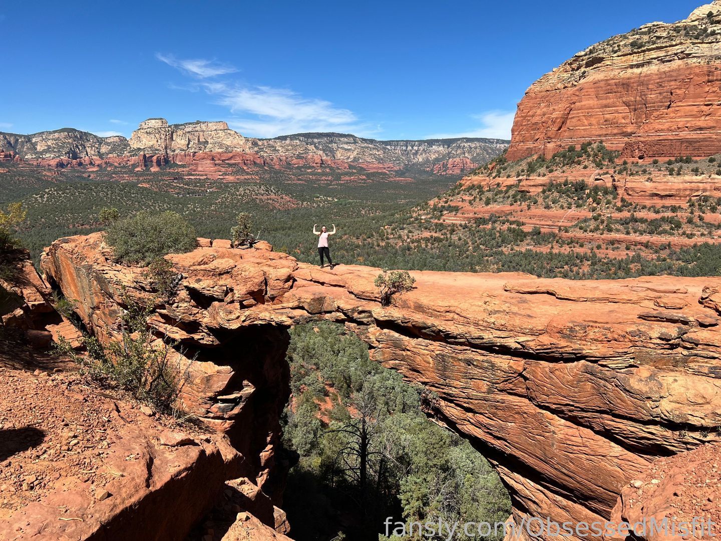 fansly ObsessedMisfit profile banner