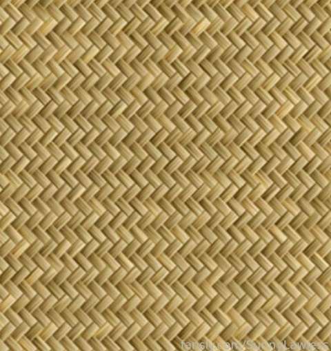 fansly Sunny profile banner