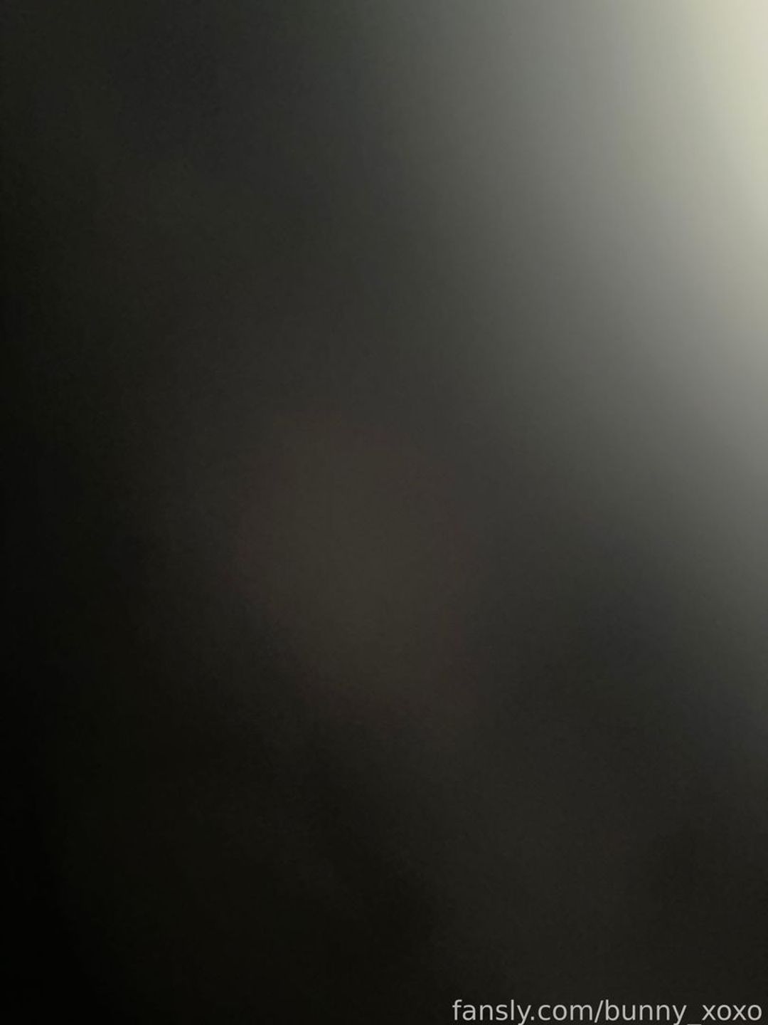 fansly bunny profile banner  