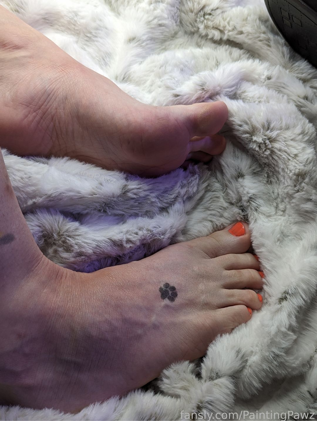 fansly PaintingPawz profile banner