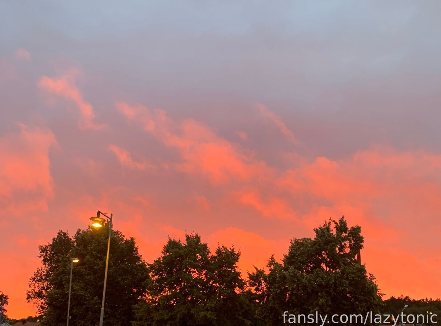 fansly Olivia profile banner  