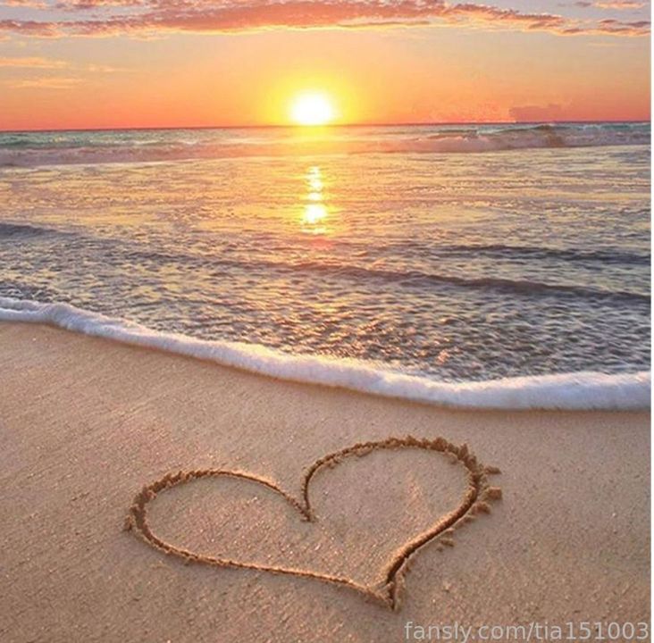 fansly Tia151003 profile banner  