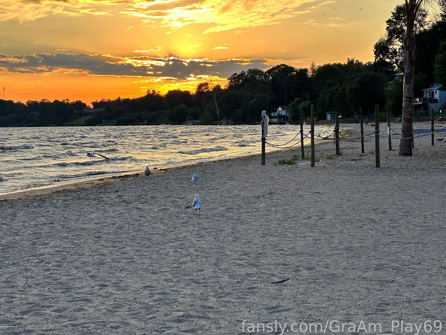 fansly G&Aπ¦ profile banner