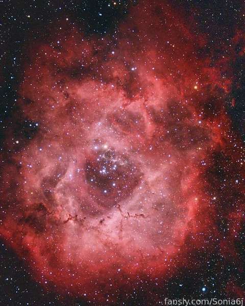 fansly Abby profile banner  