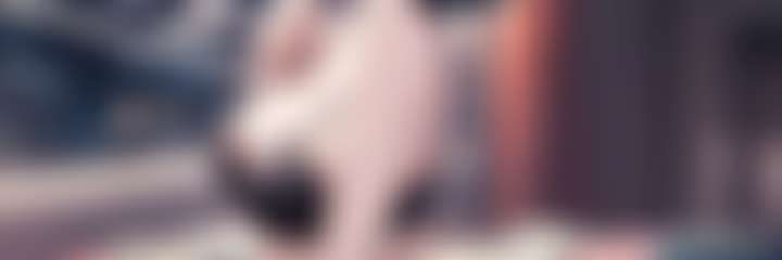 fansly Adventures nicolette profile banner  