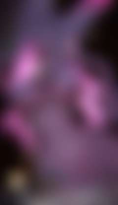 fansly Thewhisperer profile banner