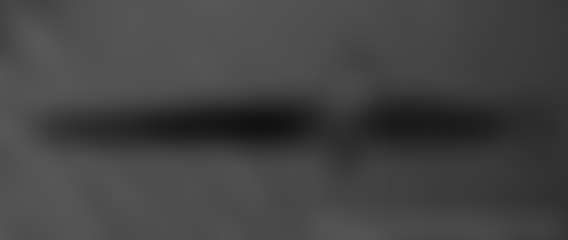 fansly forest profile banner