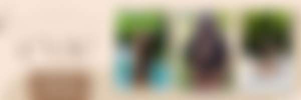 fansly evie_reign profile banner  