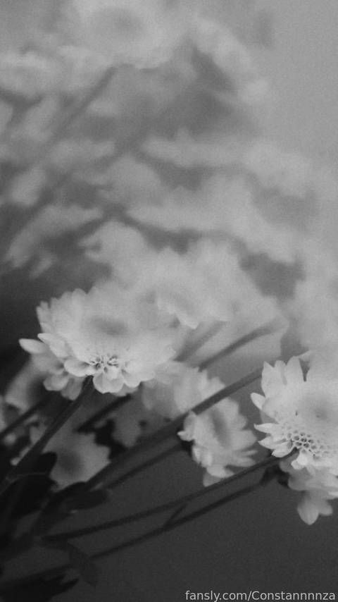 fansly Constanza  profile banner  