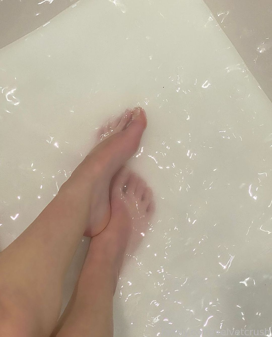 fansly velvetcrush profile banner  