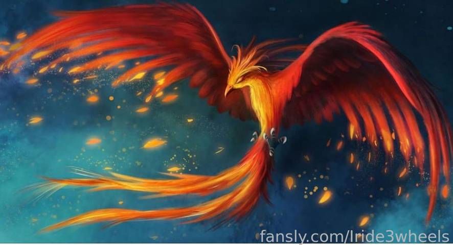 fansly Iride3wheels profile banner