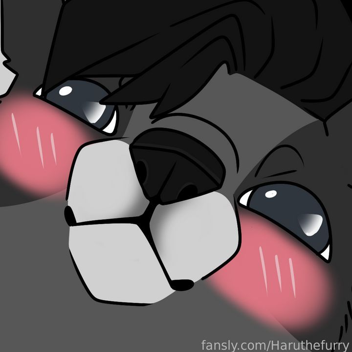 fansly Haruthefurry  profile banner  