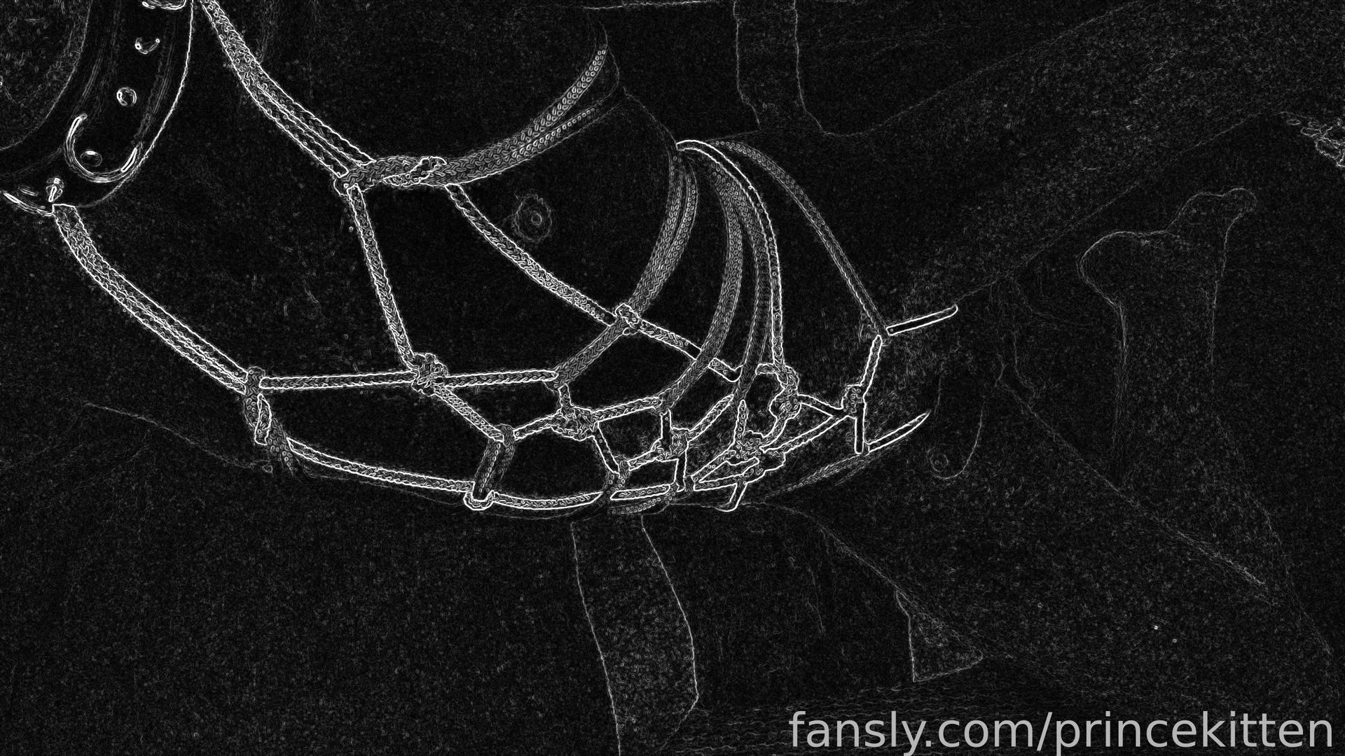 fansly Prince Kitten profile banner  