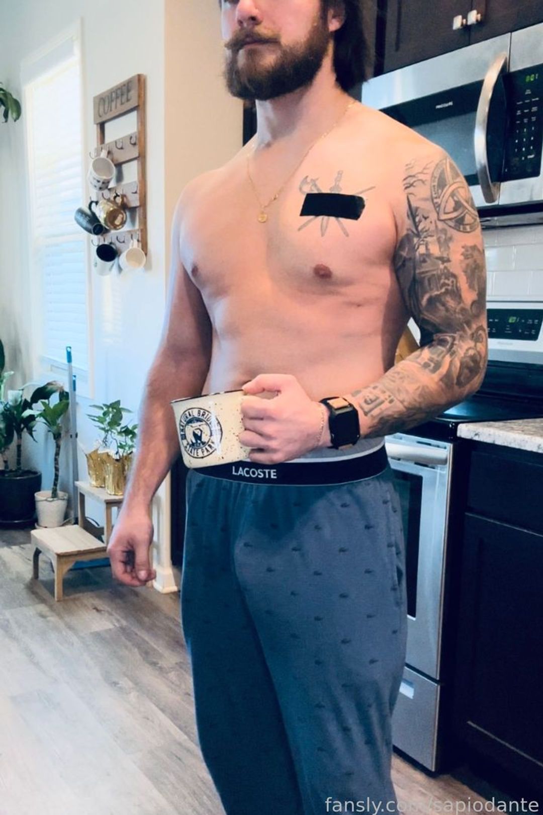 fansly sapiodante profile banner