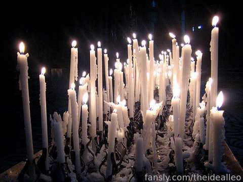 fansly theidealleo profile banner