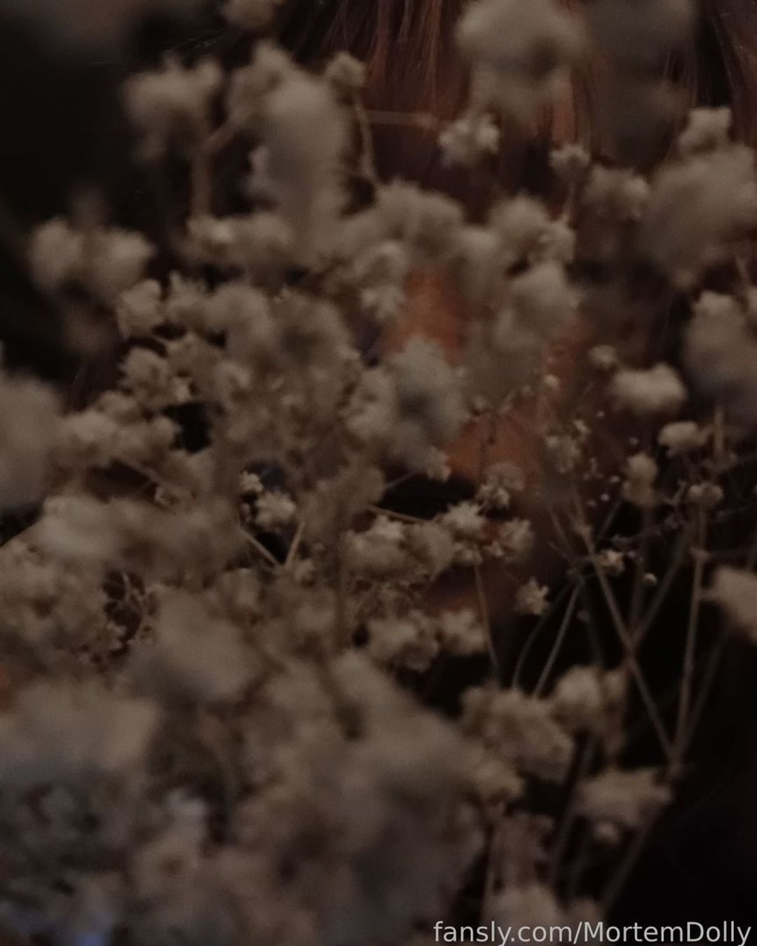 fansly MortemDolly profile banner  