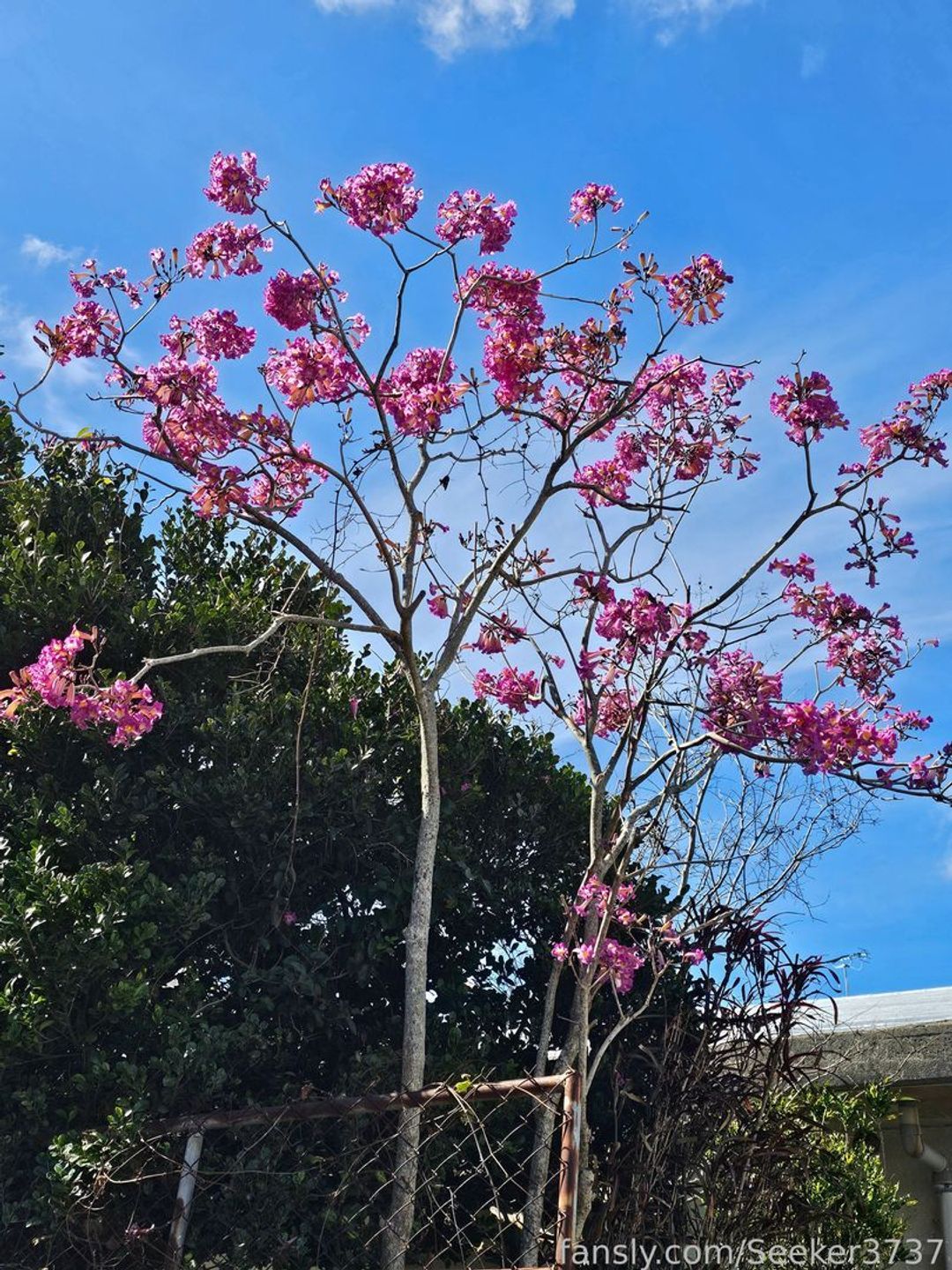 fansly ThatGinger37 profile banner  