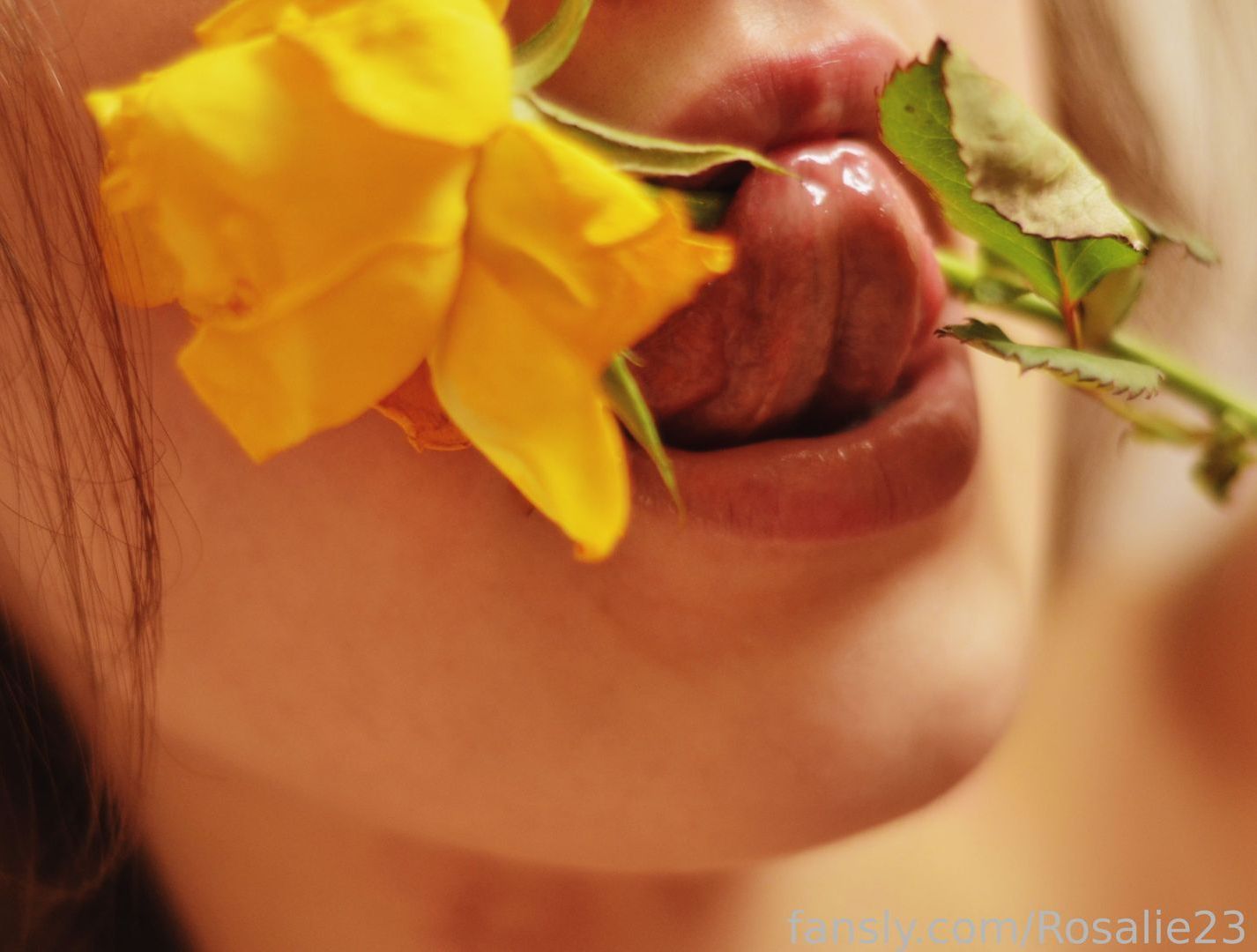 fansly Rosalie profile banner