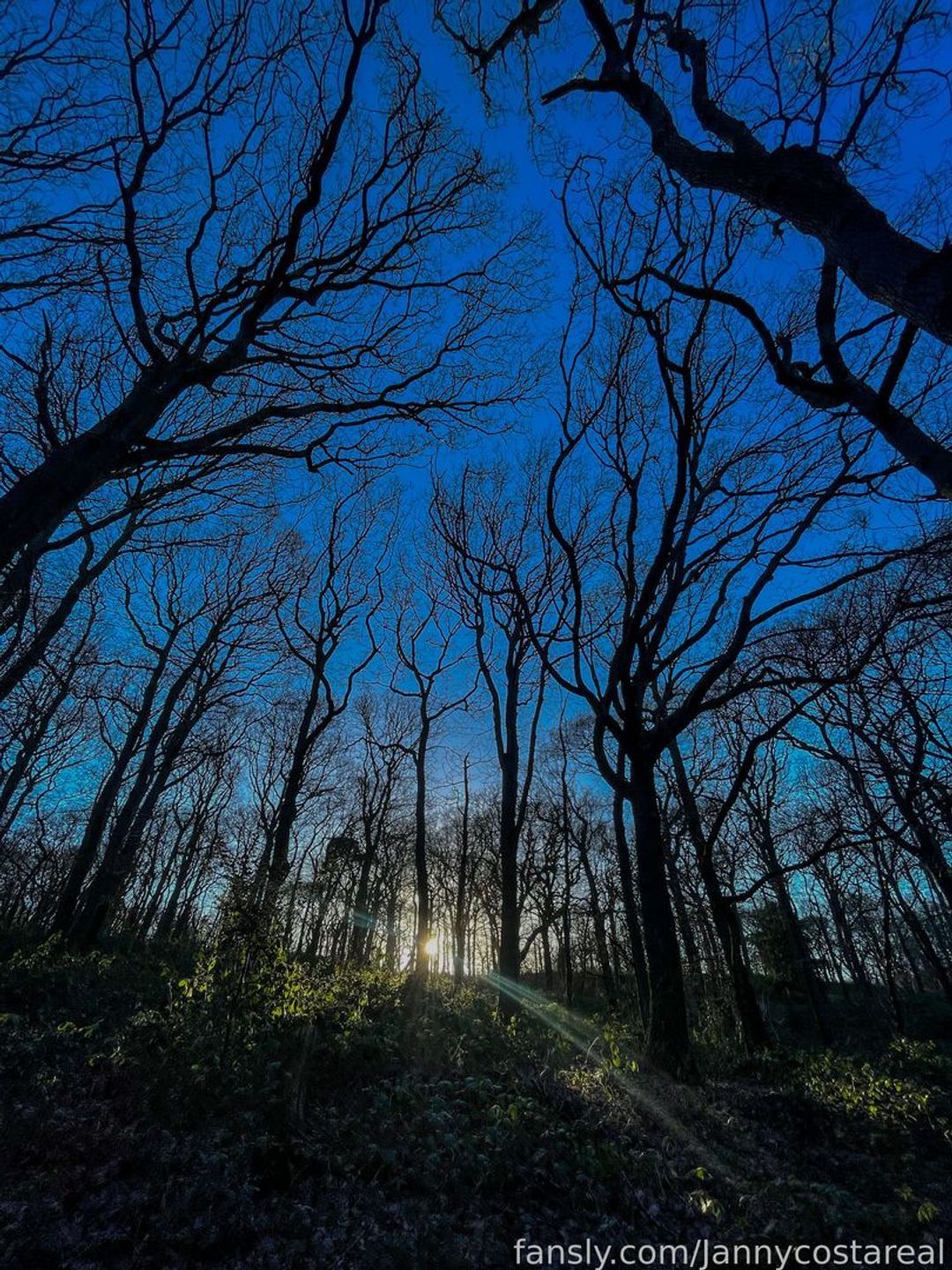 fansly Jannycostareal profile banner  