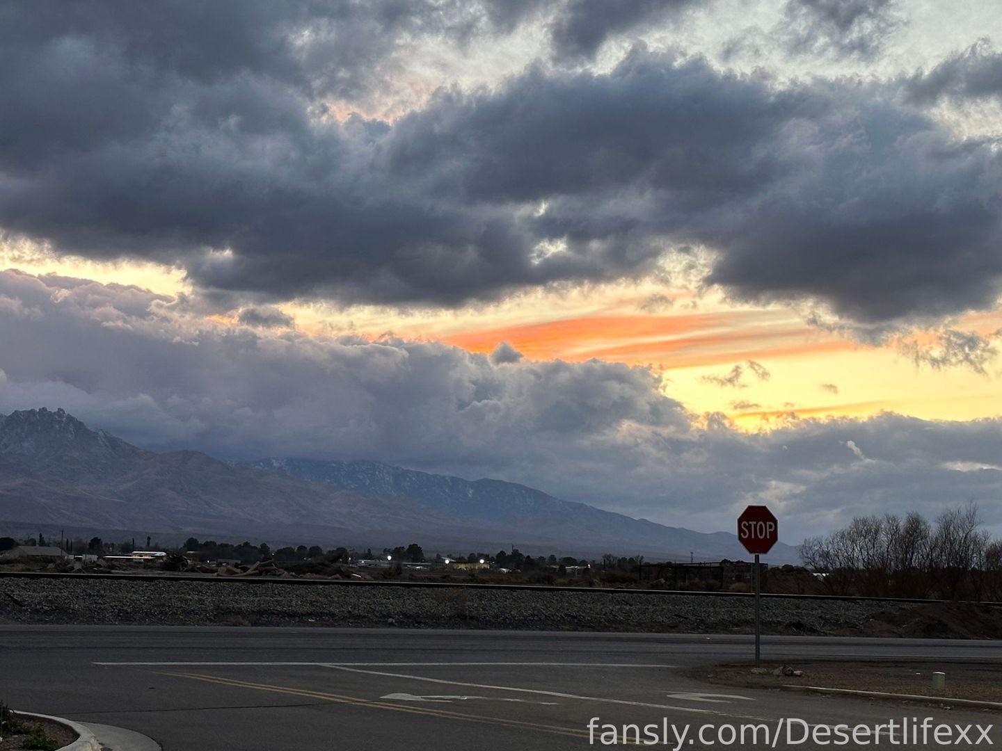 fansly Desertlifexx profile banner  