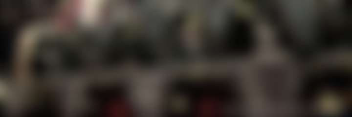 fansly vicevixxn profile banner